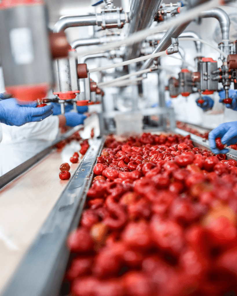 agro processing